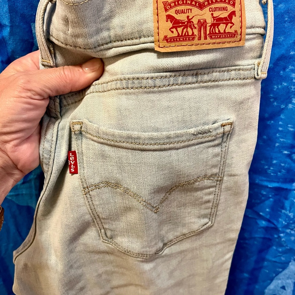 Levi's Blue Skinny Jeans Classic Style